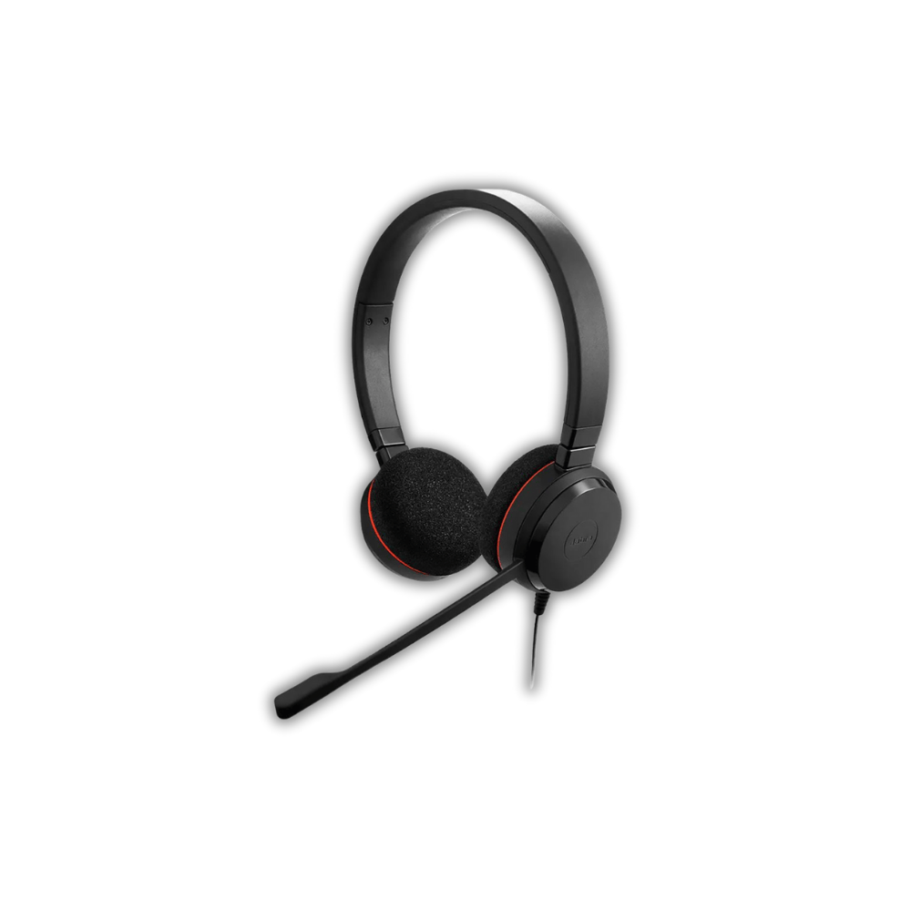 Jabra Evolve 20 Dual Headset (USB-A) | Noise-Canceling | Microsoft Teams Certified